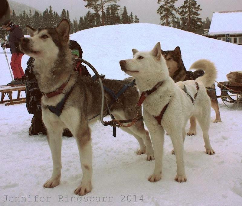Stuga Saelen Klaeppen 5 Baeddar Uthyres Veckovis Soendag - Soendag Sälen Exterior foto